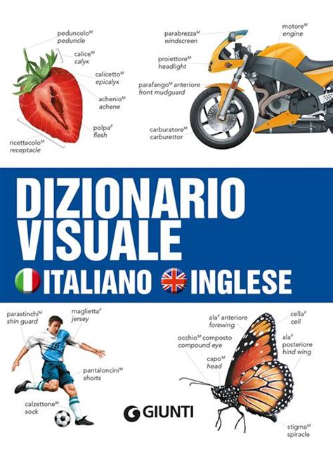 uva traduzione inglese